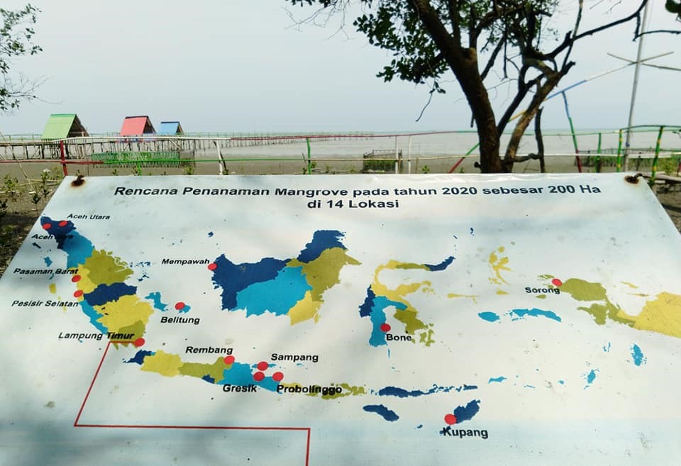 Peta Rencana Penanaman Mangrove Lampung