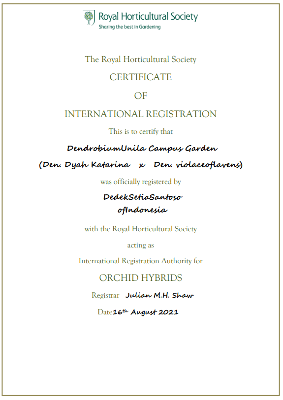 Dendrobium Unila Campus Garden Orchid